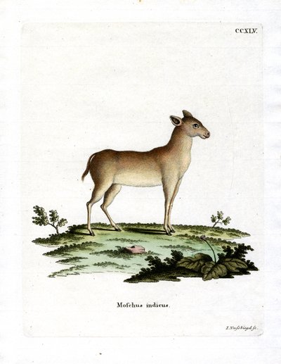 Alpen muskushert door German School