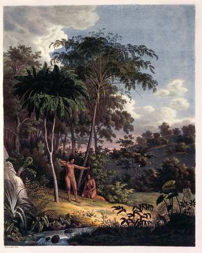 Alsophila, water varens in de Amazone, tafel XXVIII uit 