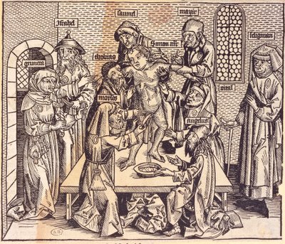 Anatomieles (gravure) door German School