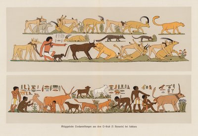 Oude Egyptische schilderijen van dieren door German School