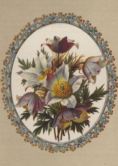Anemonen (chromolitho) door German School