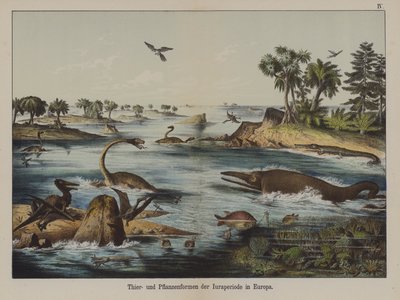Dieren en planten van de Jura-periode in Europa door German School