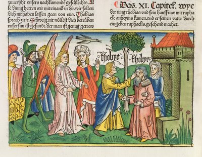 Apocrief: Tobias herstelt het zicht van zijn vader Tobit met de gal van een vis, uit de Neurenbergse Bijbel (Biblia Sacra Germanaica) door German School