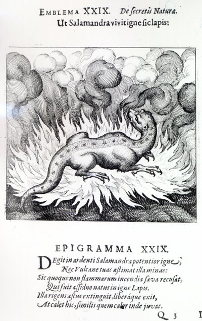 Zoals de Salamander in vuur leeft, zo ook de Steen, Embleem XXIX uit Atalanta fugiens door Michael Maier, 1617 door German School