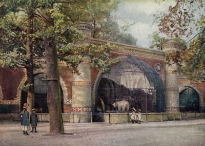 Berenverblijf, Zoologischer Garten Berlijn, Duitsland (kleur litho) door German School