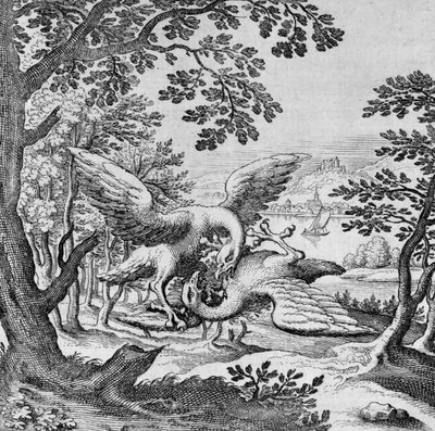 Vechten vogels uit Musaeum Hermeticum door German School