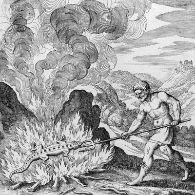 Een salamander verbranden uit Musaeum Hermeticum door German School
