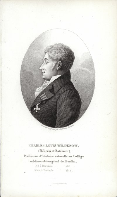 Charles Louis Wildenow door German School