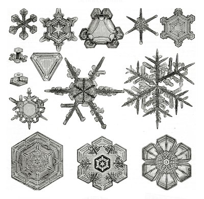 Verschillende vormen van sneeuwvlokken door German School