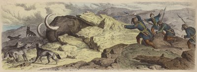 Ontdekking van het lichaam van een wolharige mammoet in Siberië (gekleurde gravure) door German School