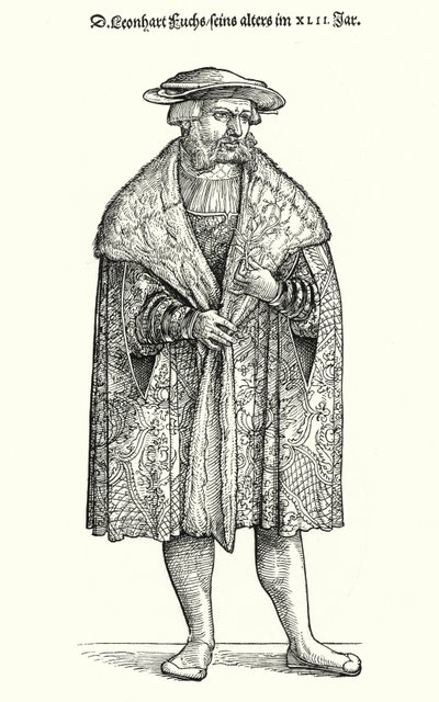 Dr. Leonhart Fuchs, Duitse arts, botanicus en professor aan de Universiteit van Tübingen door German School