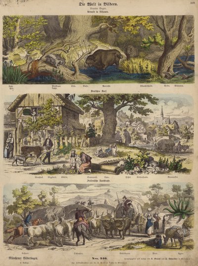Europa: bos in Litouwen; Duits dorp; Italiaanse landweg (gekleurde gravure) door German School