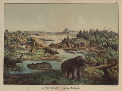 Europese dieren uit het Tertiair door German School