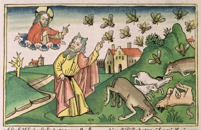Exodus 8:20-32 De Zeven Plagen van Egypte: Mozes en de zwerm vliegen, uit de 