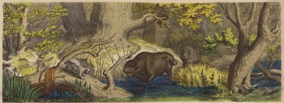Bos in Litouwen door German School