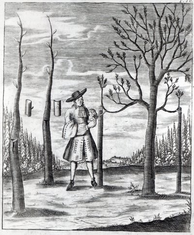Tuinieren en plantenziekten, een illustratie uit 