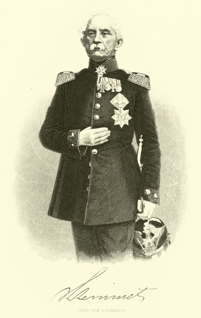 Generaal von Steinmetz door German School