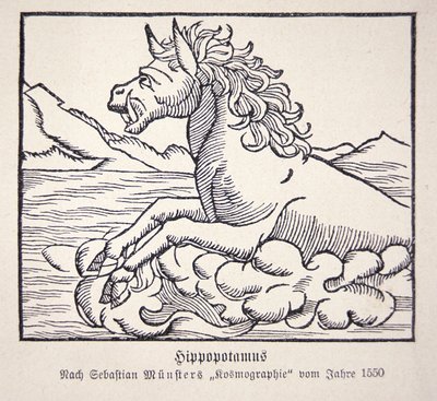 Nijlpaard uit Sebastien Münster