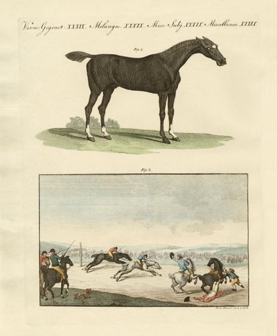 Paardenraces in Engeland door German School