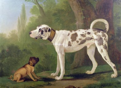 Hond en terriër door German School