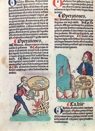 Geïllustreerde pagina uit Hortus Sanitatis, 1491 door German School