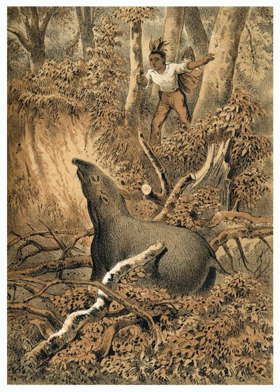 Illustratie, Indiase jacht op tapir in het Amazonewoud door German School