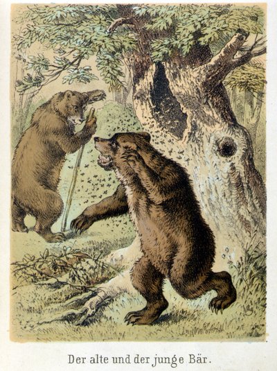 Illustratie van Franz Hoffmann