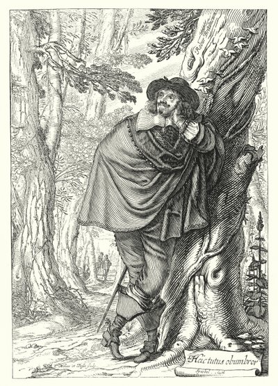 James Howell, Anglo-Welsh historicus en schrijver door German School