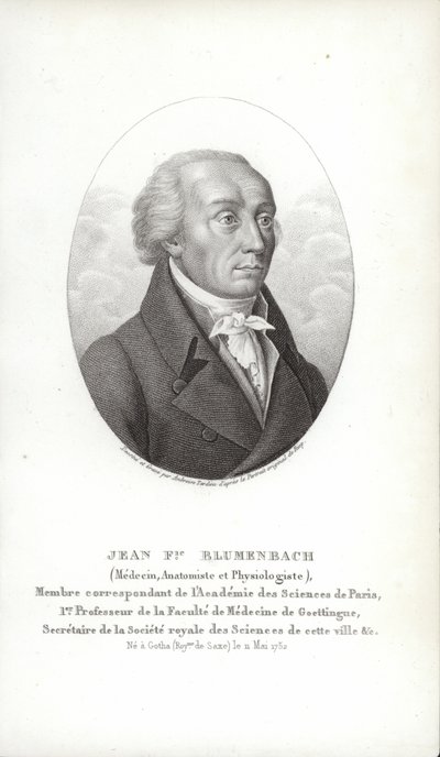 Johann Friedrich Blumenbach door German School