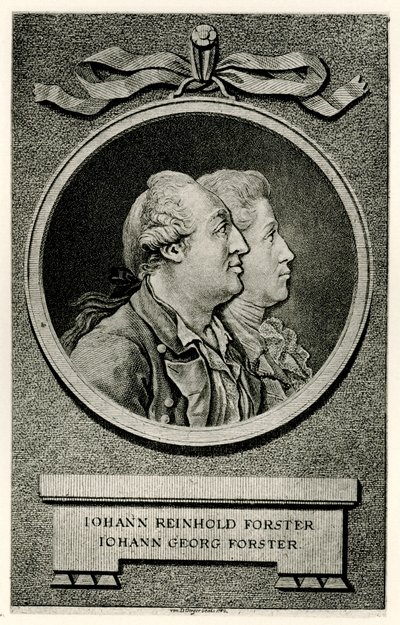 Johann Georg Forster door German School