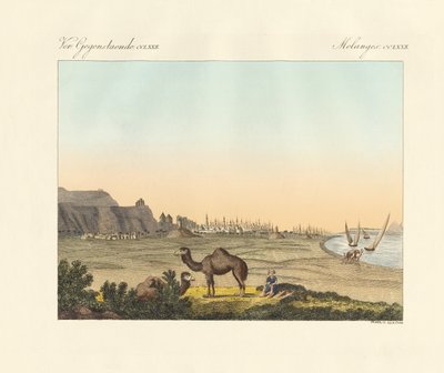 Kahira in Egypte door German School