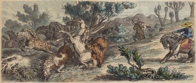 Wilde paarden vangen in New Mexico door German School