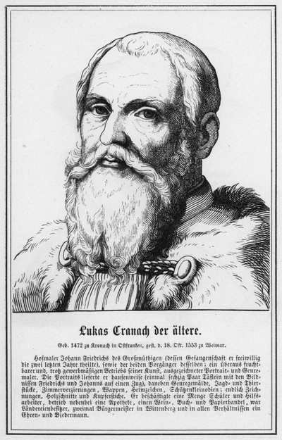 Lukas Cranach de Oude (gravure) door German School