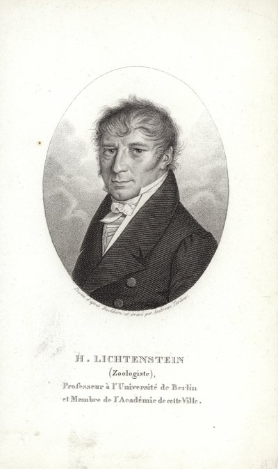 Martin Lichtenstein door German School