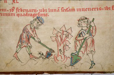 Ms 54 f.37 Februari: Spitten, Cisterciënzer Psalter door German School