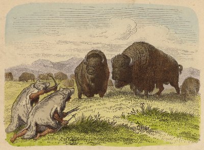 Inheemse Amerikanen dragen wolvenvellen en jagen op buffels (gekleurde gravure) door German School