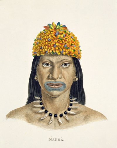 Inheemse man van de Mauhe-stam, met hoofdtooi van kleine blauwe en oranje veren, uit Atlas van een reis in Brazilië door Johann Baptist von Spix (1781-1826) en Karl Friedrich Philipp Martius (1794-1868) door German School