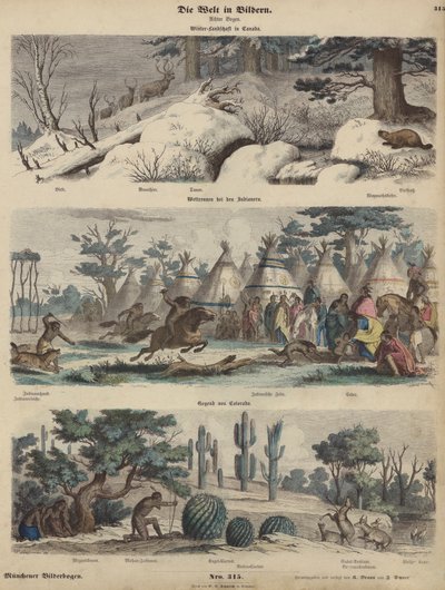 Noord-Amerika: winterlandschap in Canada; Indianen racen; Colorado (gekleurde gravure) door German School