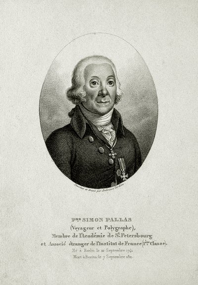 Peter Simon Pallas (1741–1811) door German School