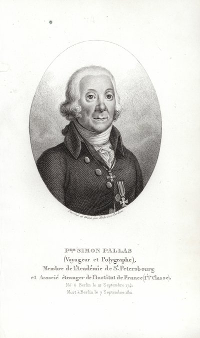 Peter Simon Pallas door German School
