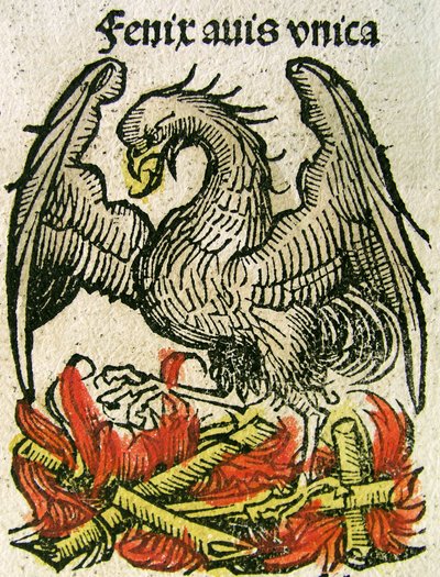 Phoenix, gepubliceerd in de Neurenberg Kroniek, 1493 door German School