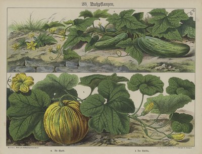 Planten door German School