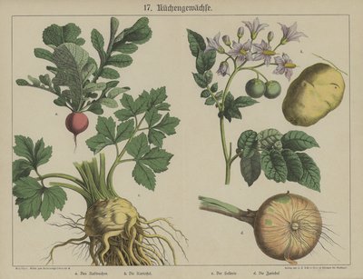 Planten door German School