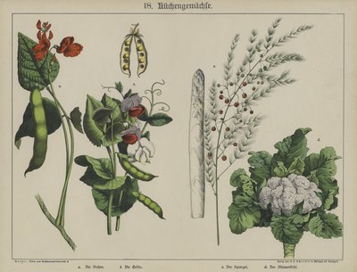 Planten door German School
