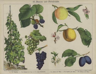 Planten door German School