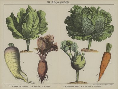 Planten door German School