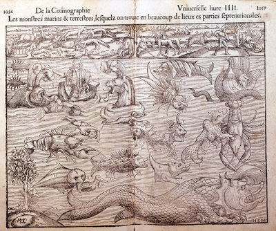Plaat die alle soorten zee- en landmonsters vertegenwoordigt gevonden in noordelijke regio