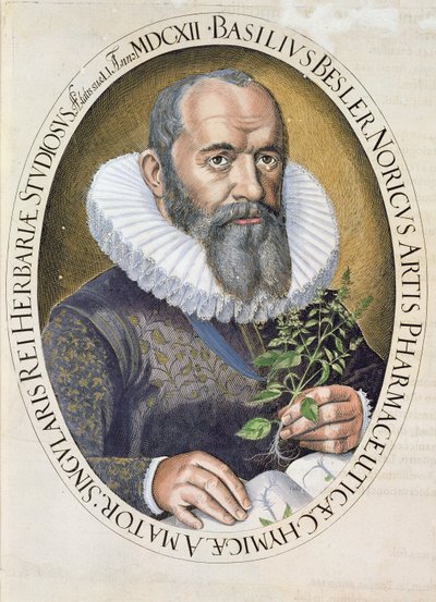Portret van Basil Besler (1561-1629) in 1612, uit de Hortus Eystettensis, uitgegeven 1613 door German School