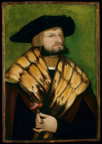 Portret van Leonhard Fuchs door German School