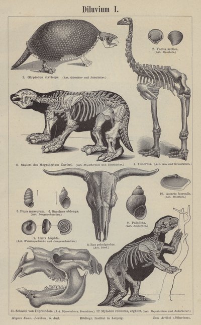 Prehistorische dieren door German School